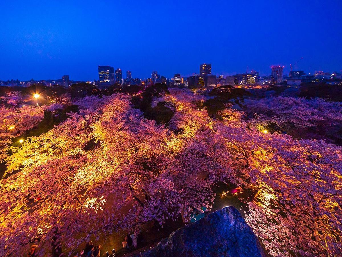 Hotel Wbf Grande Hakata Fukuoka  Eksteriør bilde